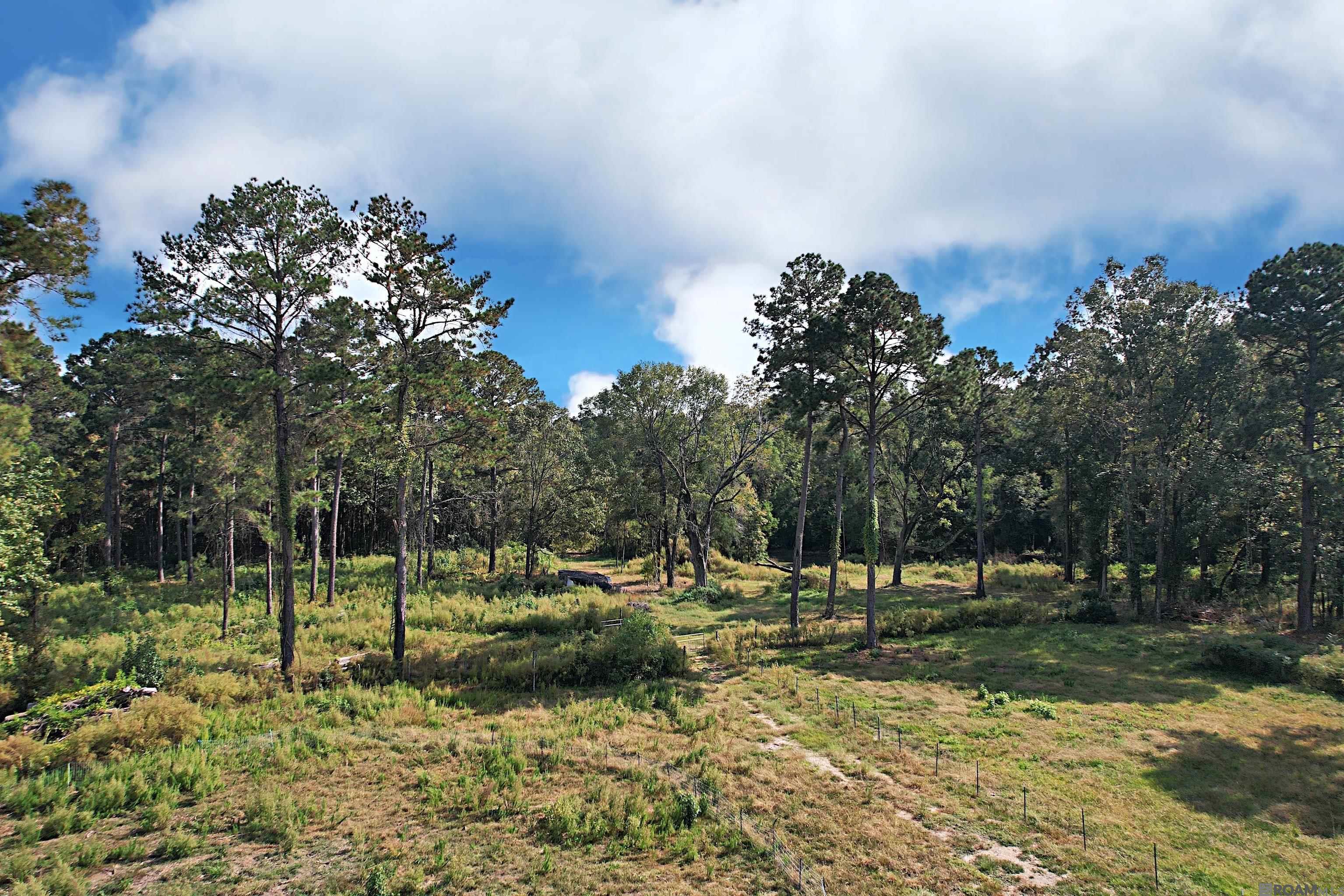 9794 La Hwy 965, Saint Francisville, Louisiana image 38