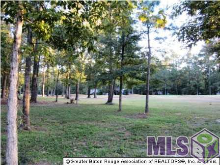 14040 Clubhouse Way Dr, Saint Francisville, Louisiana image 5