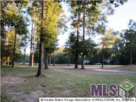 14040 Clubhouse Way Dr, Saint Francisville, Louisiana image 1