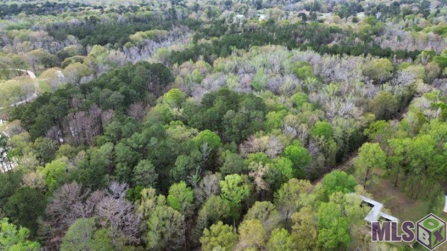 J L Fairchild Rd, Greenwell Springs, Louisiana image 5