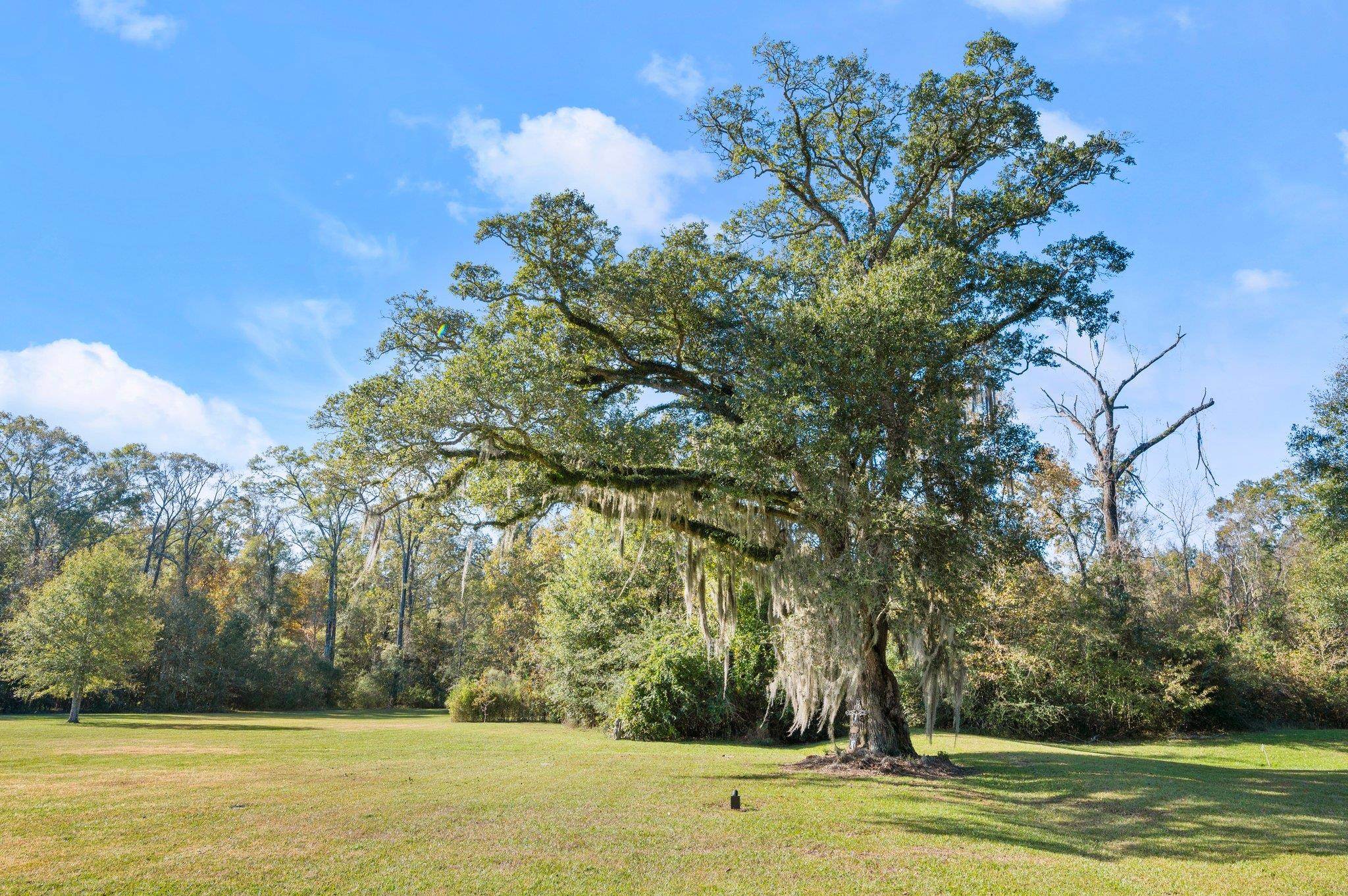 1242 Kings View Cir, Jackson, Louisiana image 10