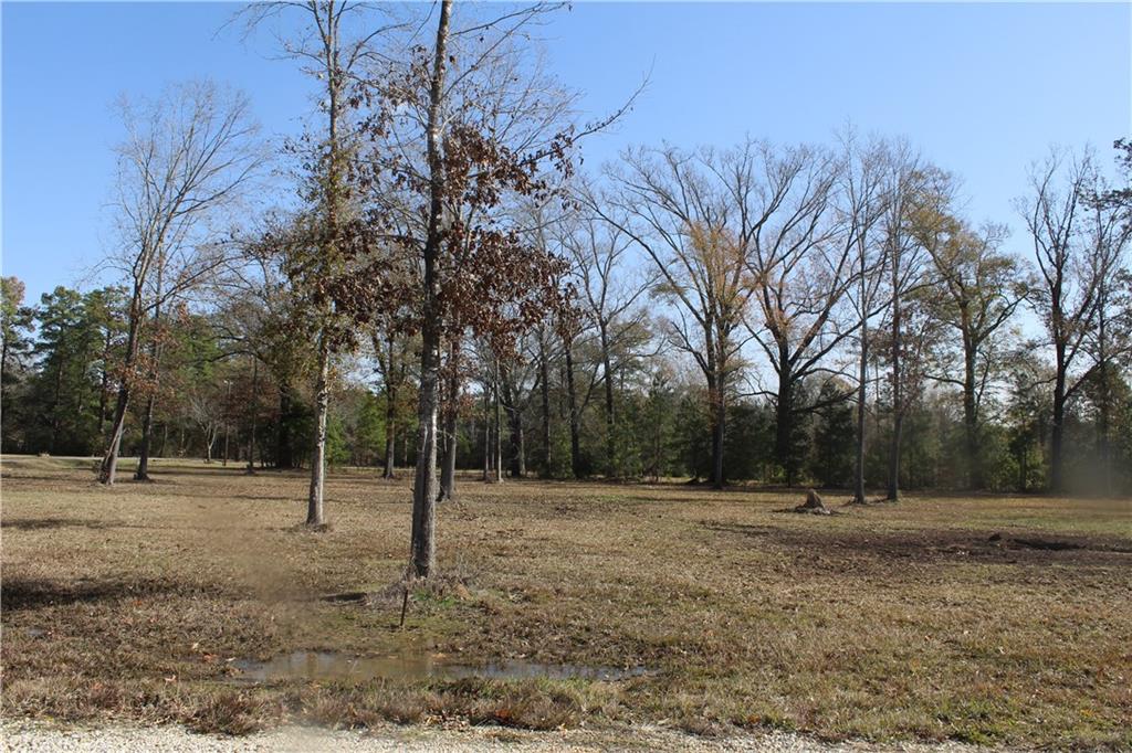 Ridge Lot F Lane, Center Point, Louisiana image 3