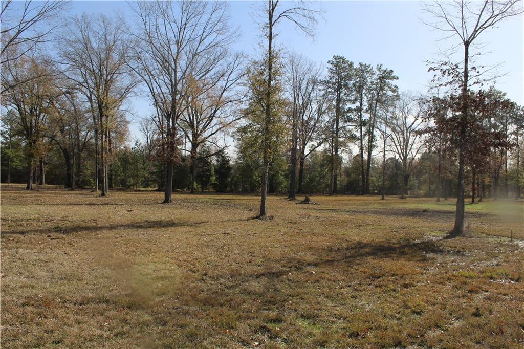 Ridge Lot F Lane, Center Point, Louisiana image 4