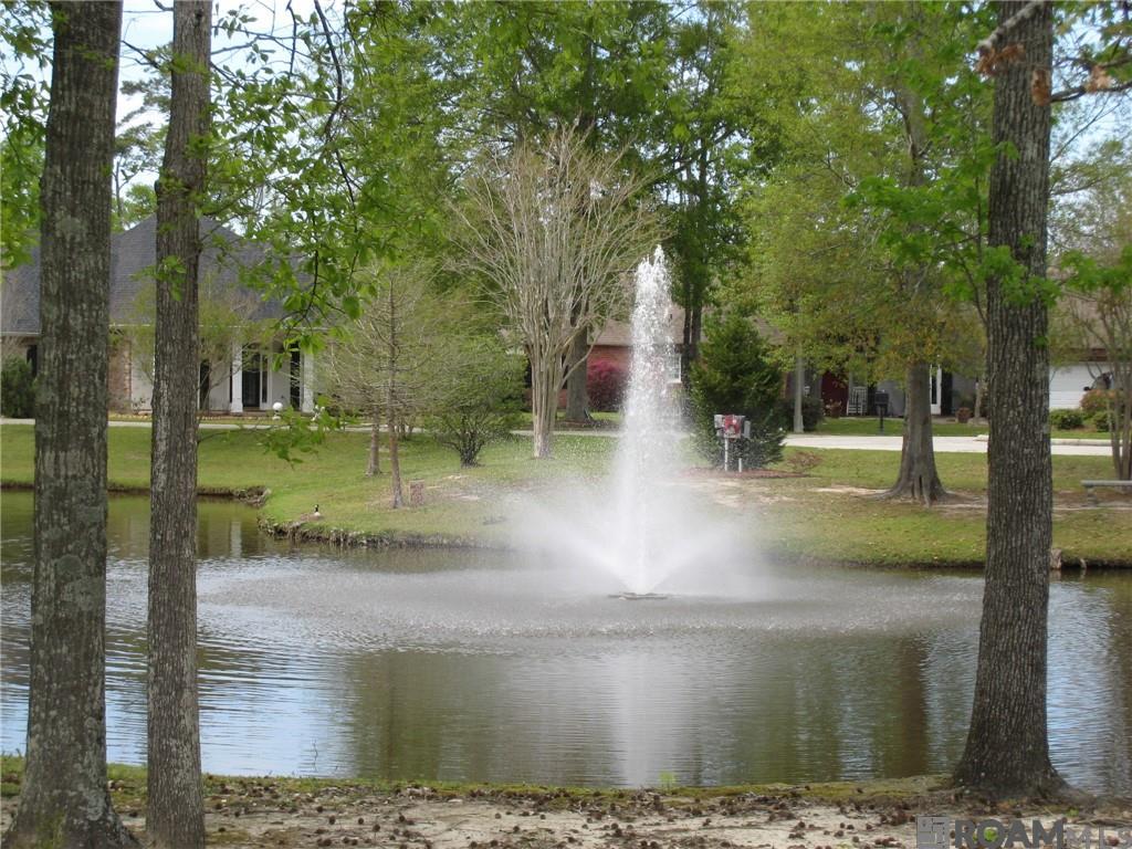 207 Pineridge Court #207, Mandeville, Louisiana image 17