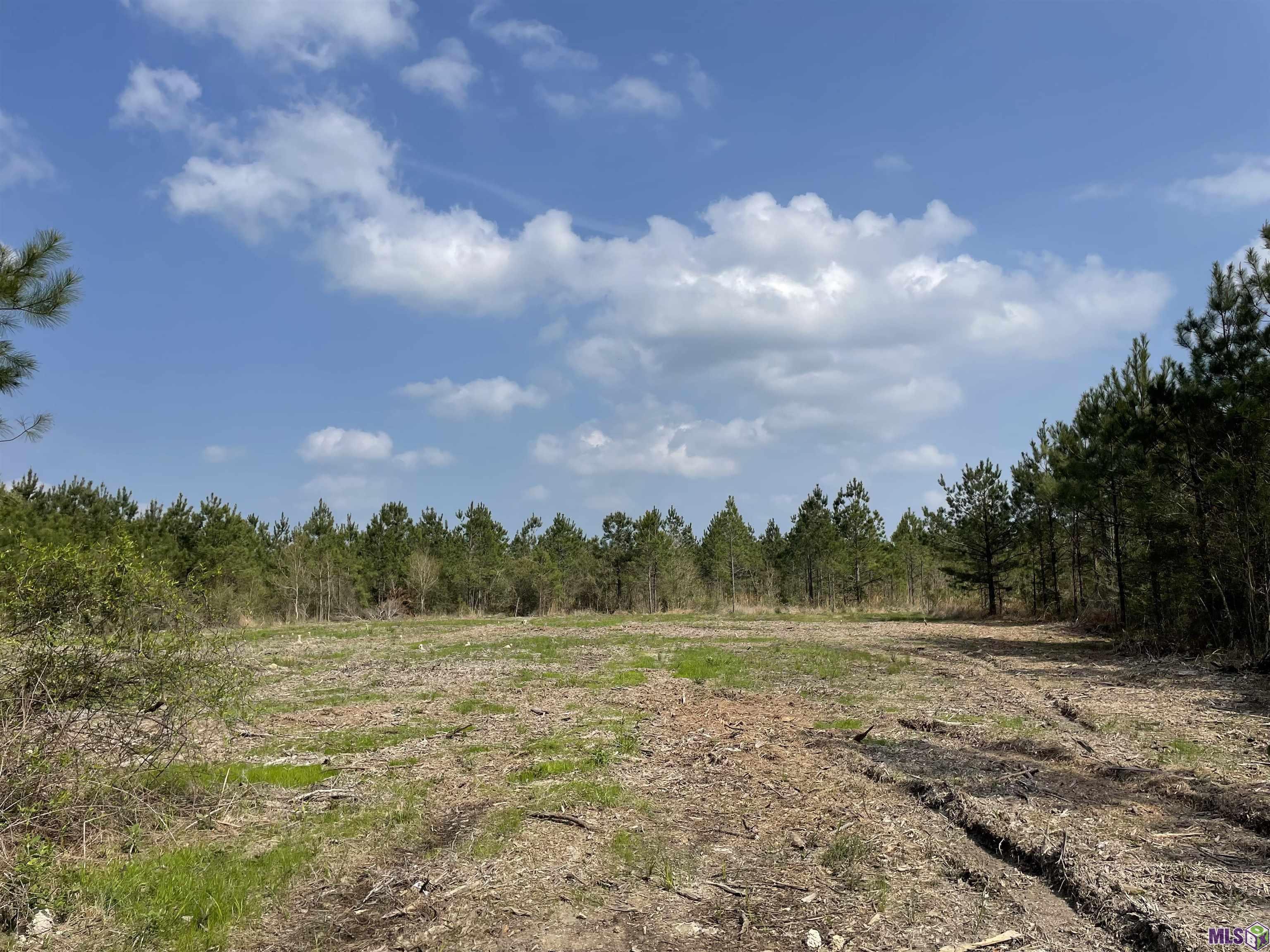 Tract 15 Lorin Wall Rd, Holden, Louisiana image 1