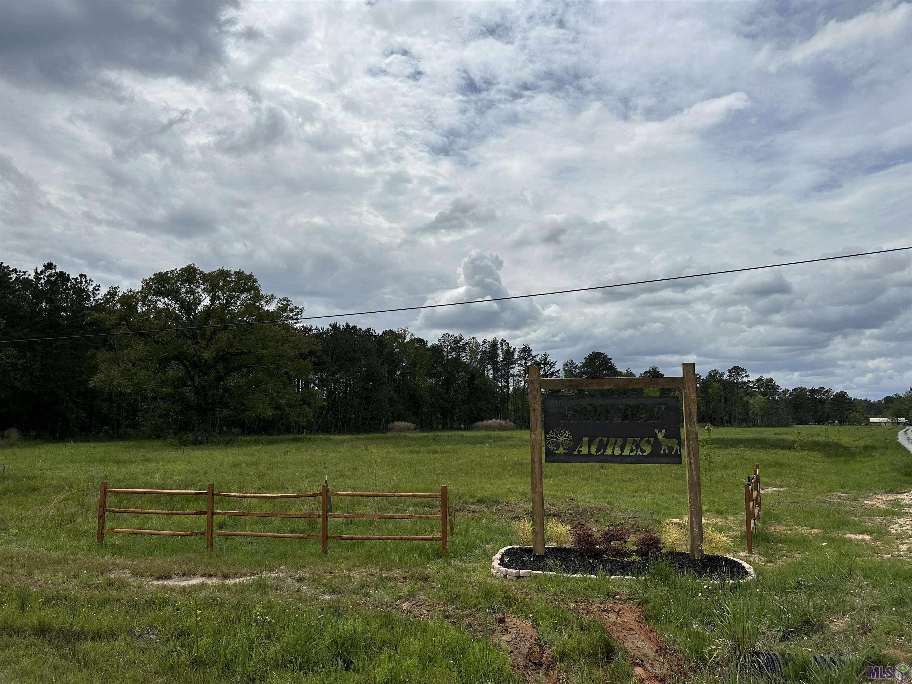 Lot 1E Weiss Rd, Walker, Louisiana image 5