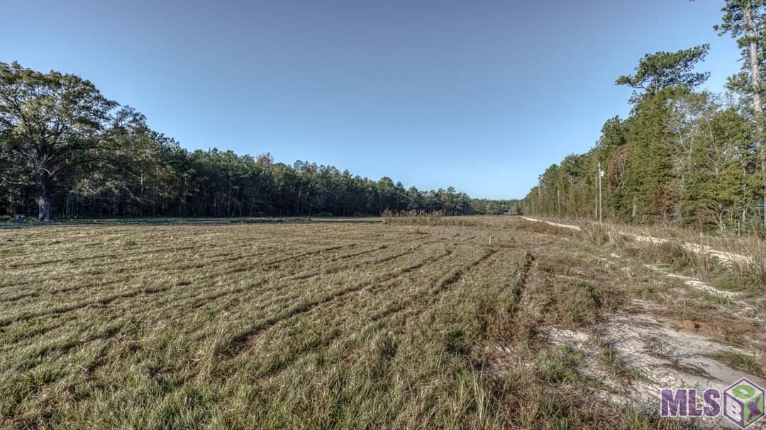 Lot 1E Weiss Rd, Walker, Louisiana image 3