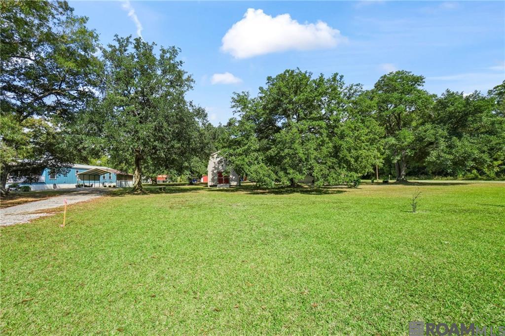 25067 Stepp Road, Robert, Louisiana image 21