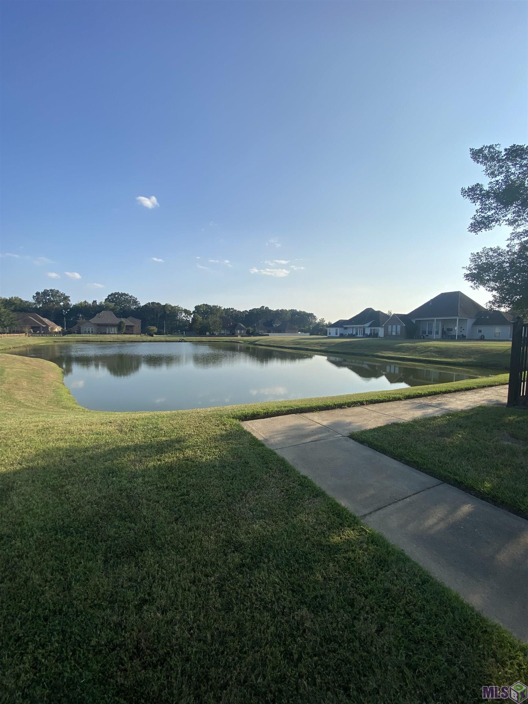 16539 Gunboat Landing Rd, Maurepas, Louisiana image 26