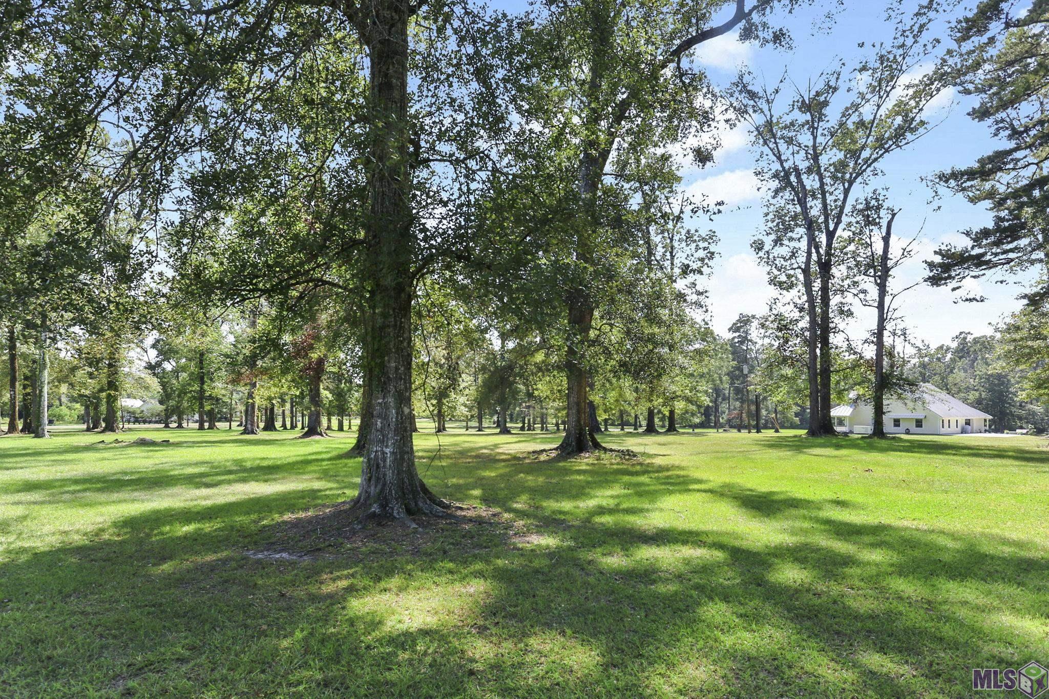 TBD La Hwy 16, Pine Grove, Louisiana image 2