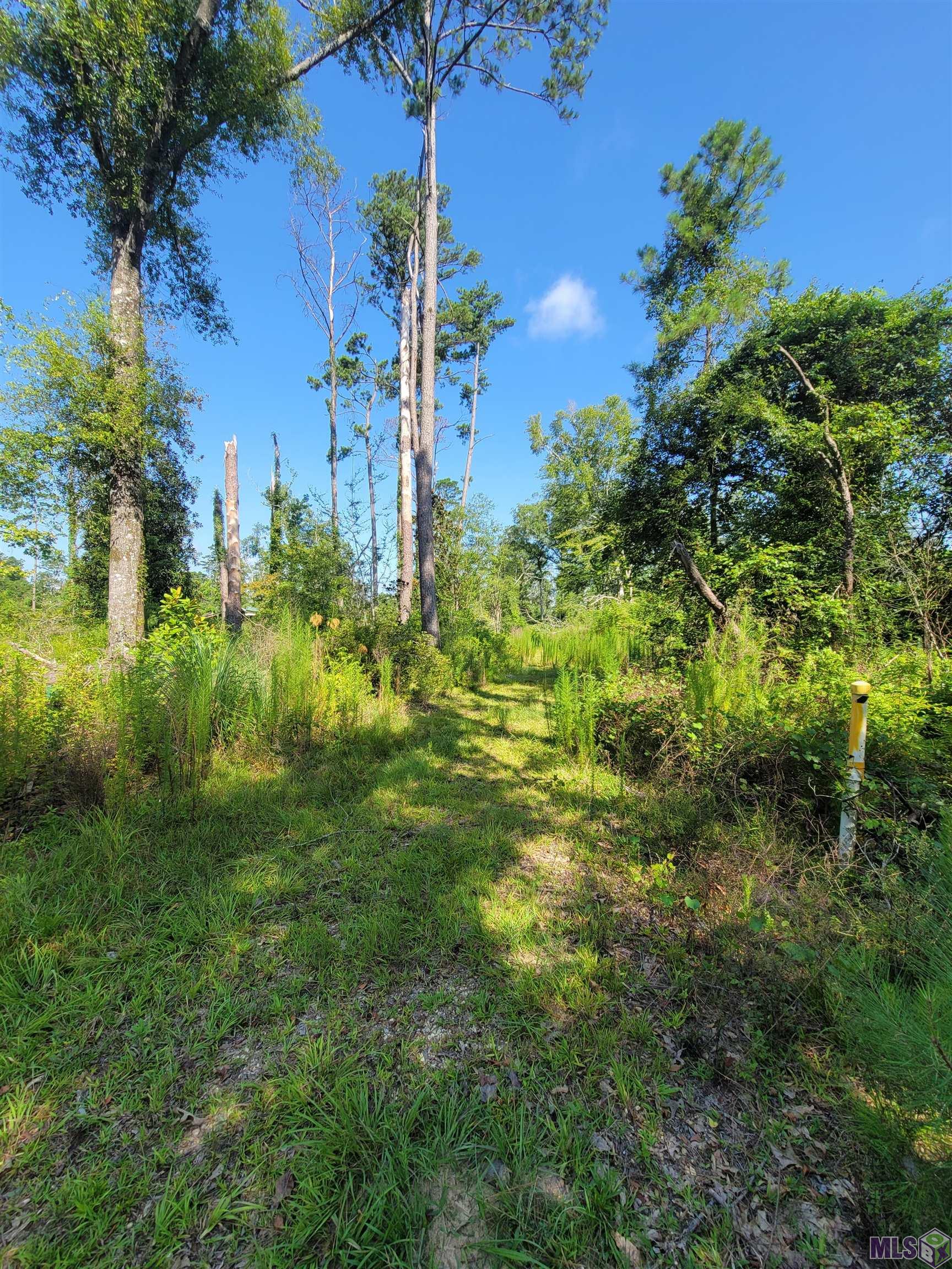 36727 Albin Rd, Independence, Louisiana image 9