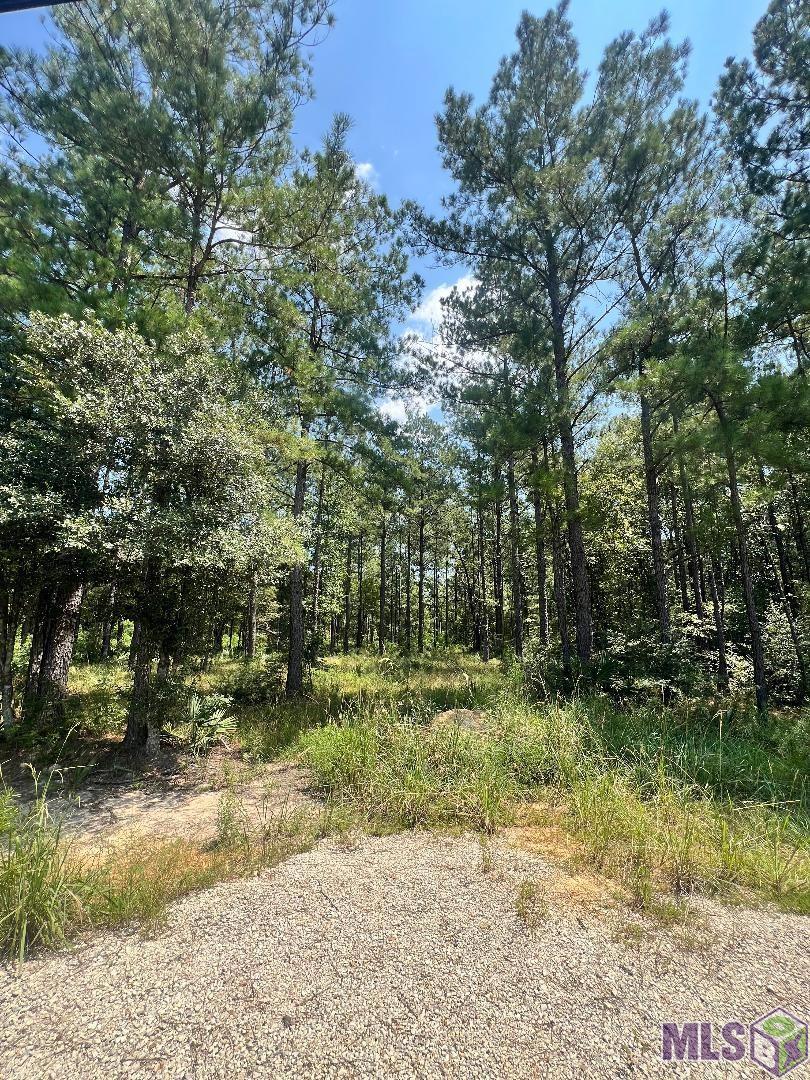 LOT 19 Frost Rd, Livingston, Louisiana image 12