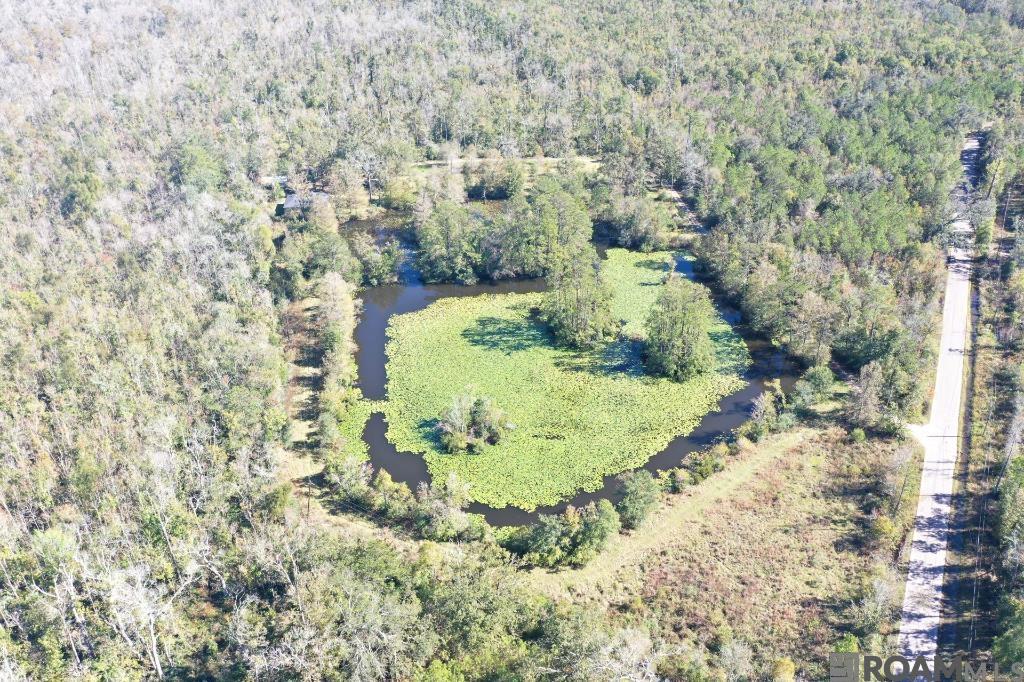 108 Michel Rd, Pierre Part, Louisiana image 9