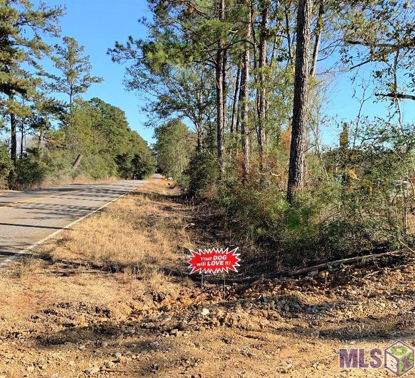 1B La Hwy 63, Clinton, Louisiana image 8