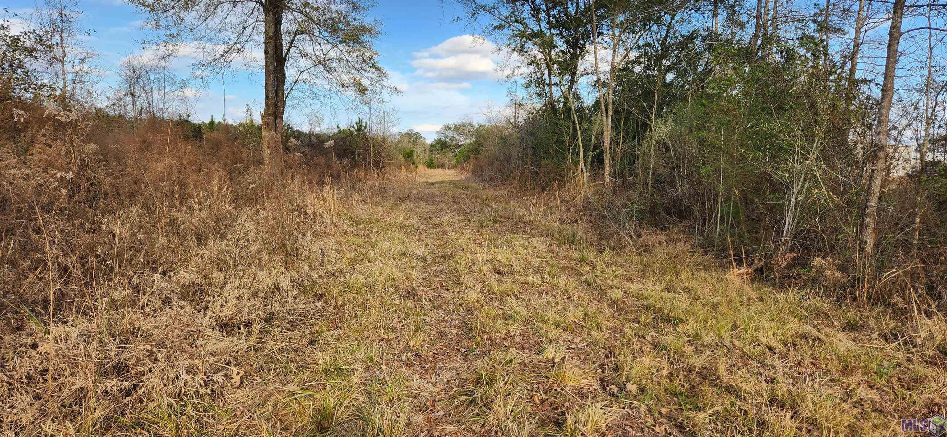 TBD-Tract 1 Gilead Rd, Clinton, Louisiana image 2