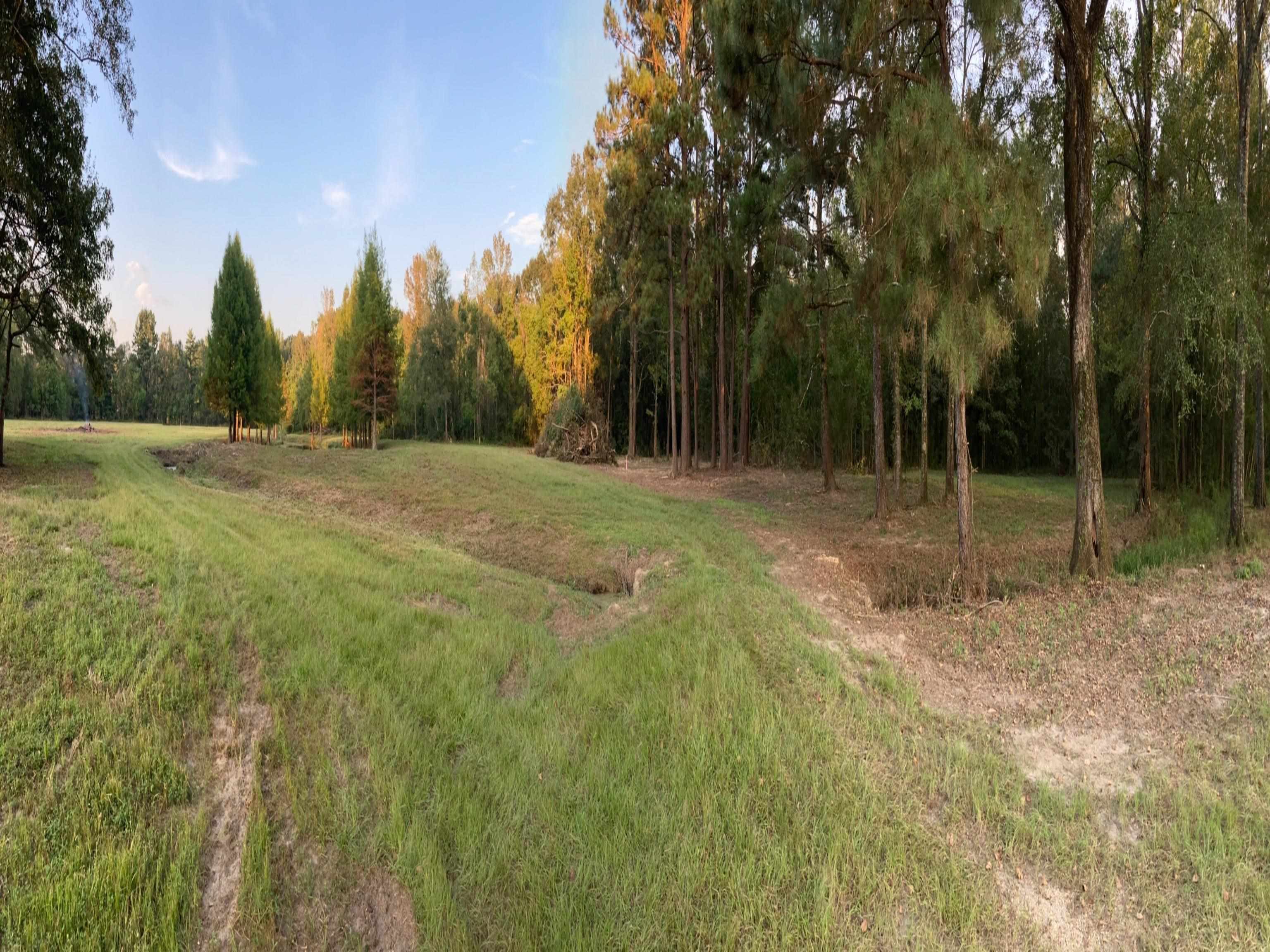 Lot C-5 Chaney Rd, Zachary, Louisiana image 8