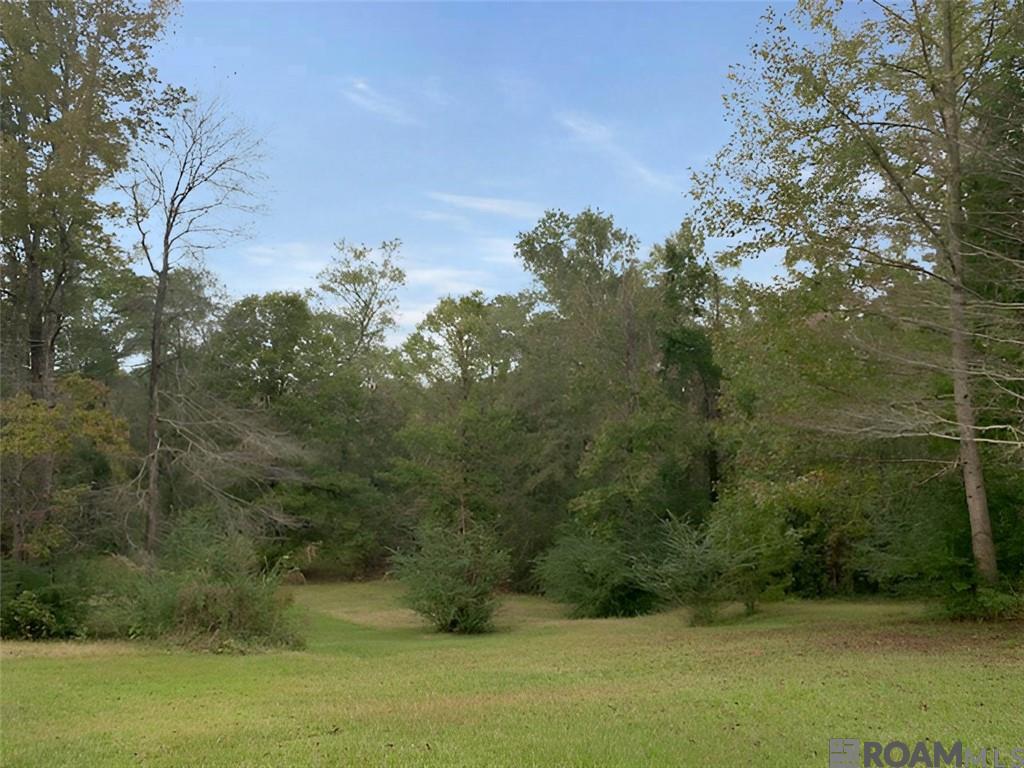 61443 Dollar Road, Angie, Louisiana image 22