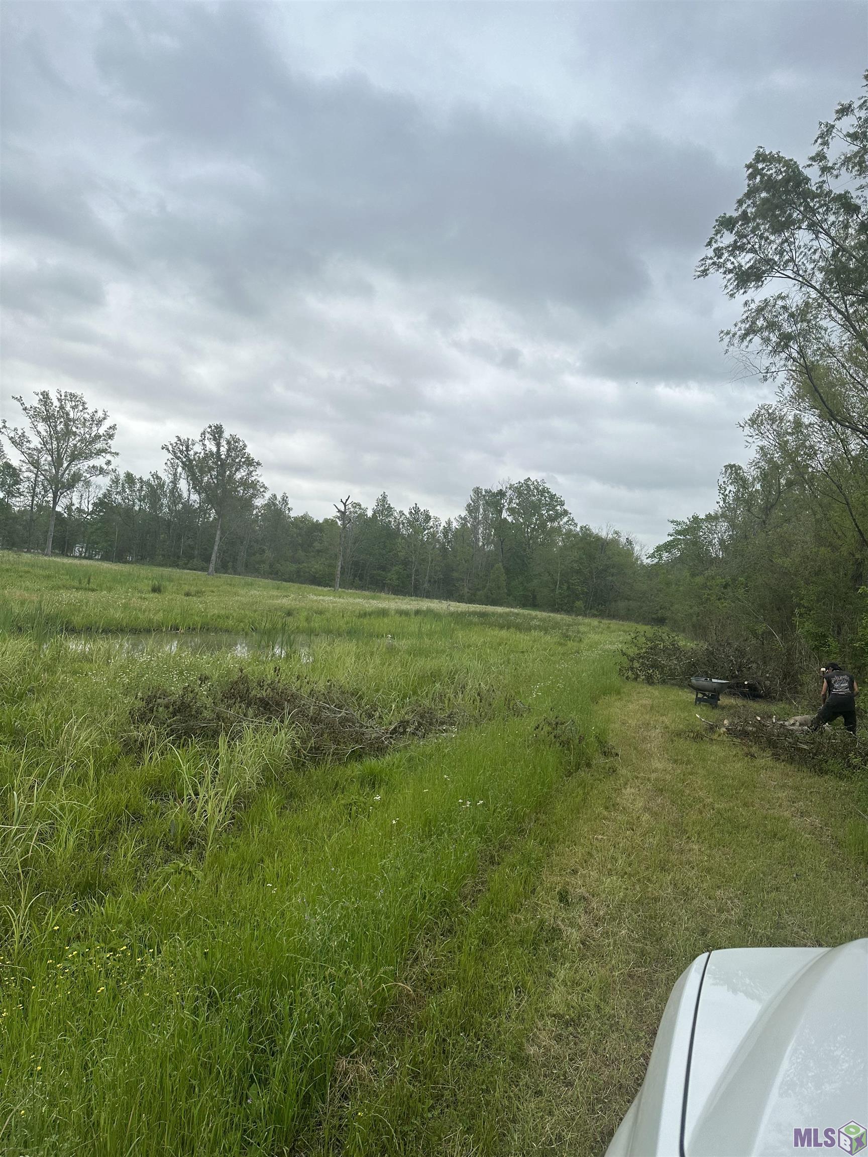 Tract E Rougon Rd, Port Allen, Louisiana image 4