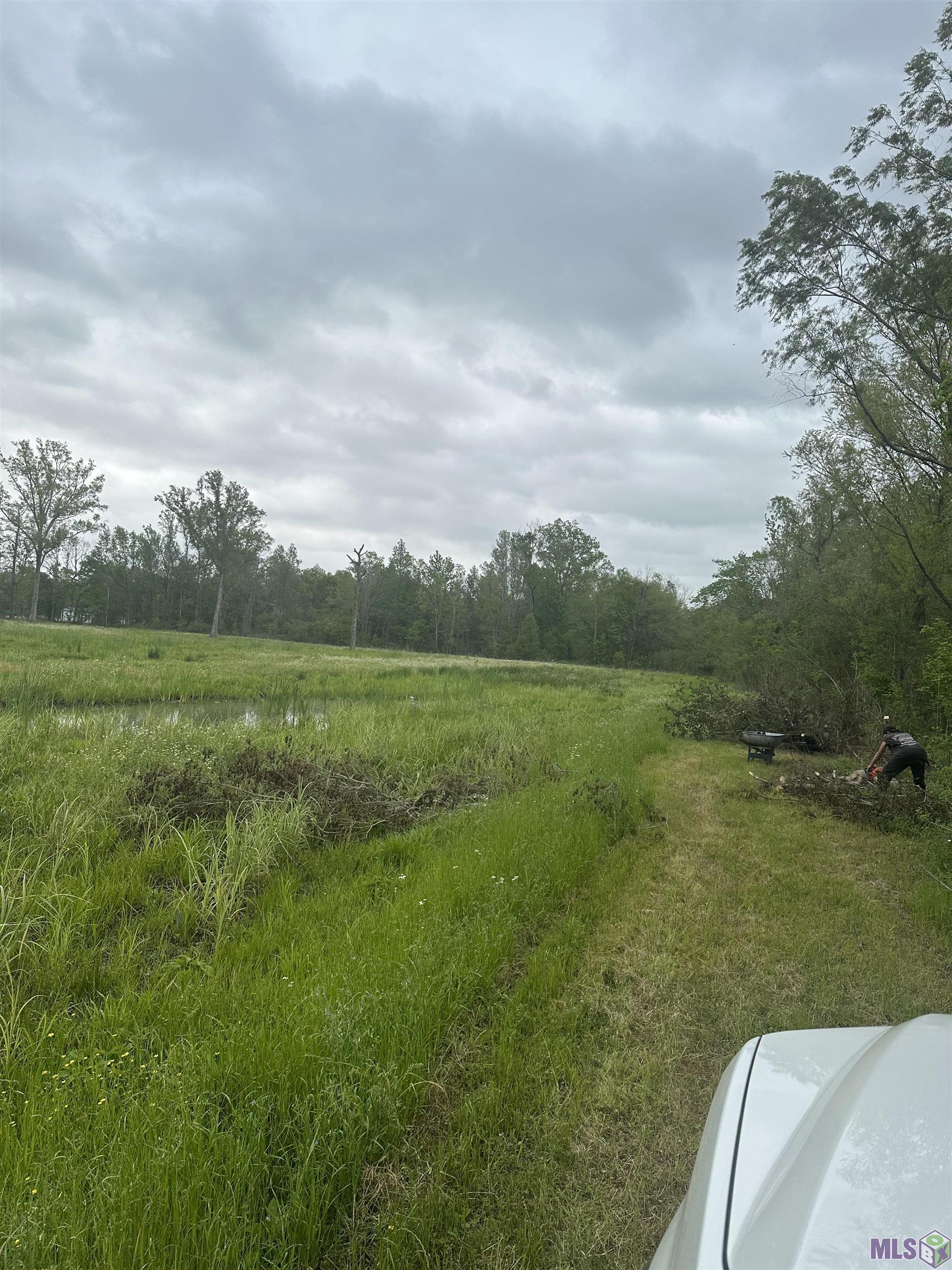 Tract E Rougon Rd, Port Allen, Louisiana image 5