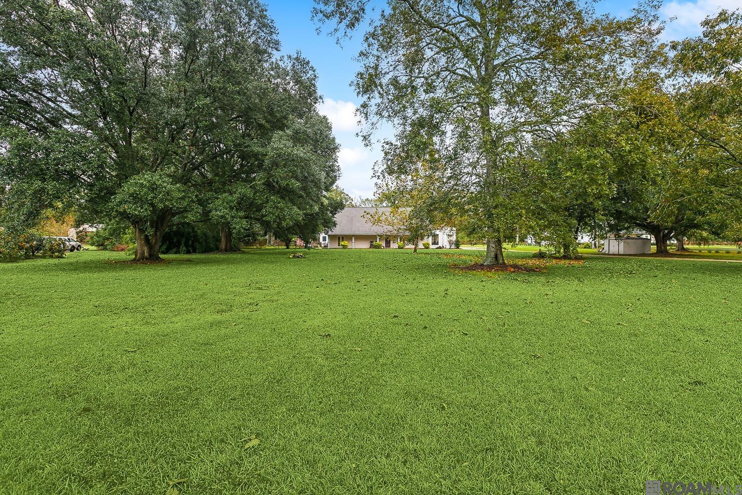 18258 John Broussard Rd, Prairieville, Louisiana image 3