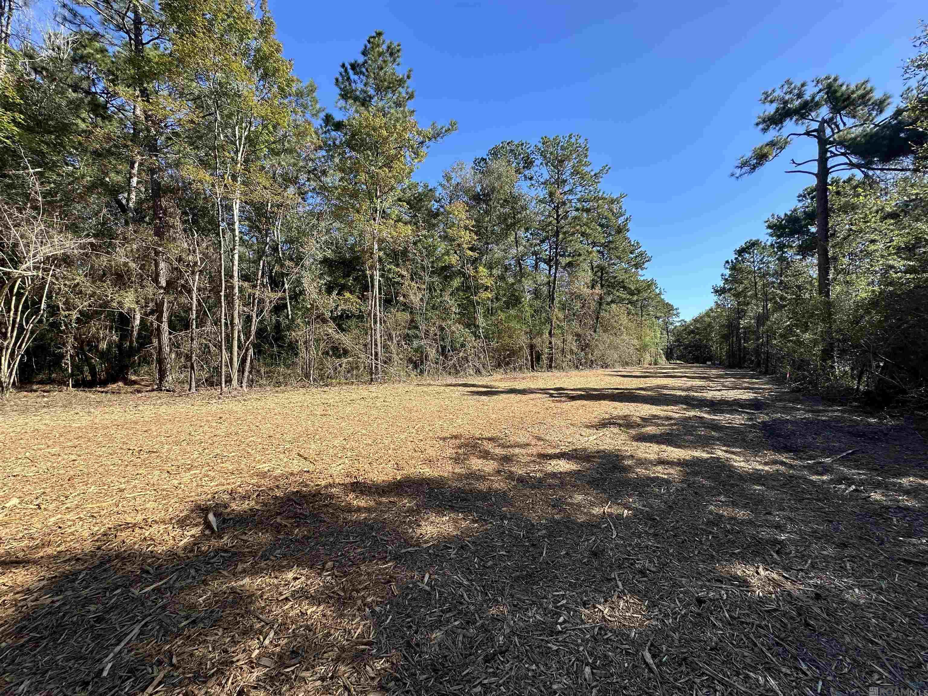 5.23 Acres Heritage Acres Ln, Robert, Louisiana image 5