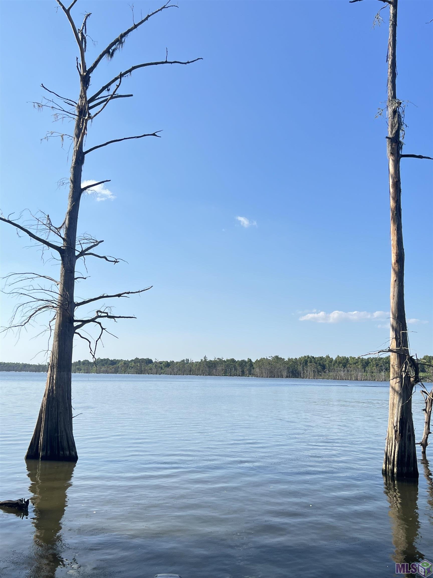 TBD Lakeshore Rd, Woodville, Mississippi image 2