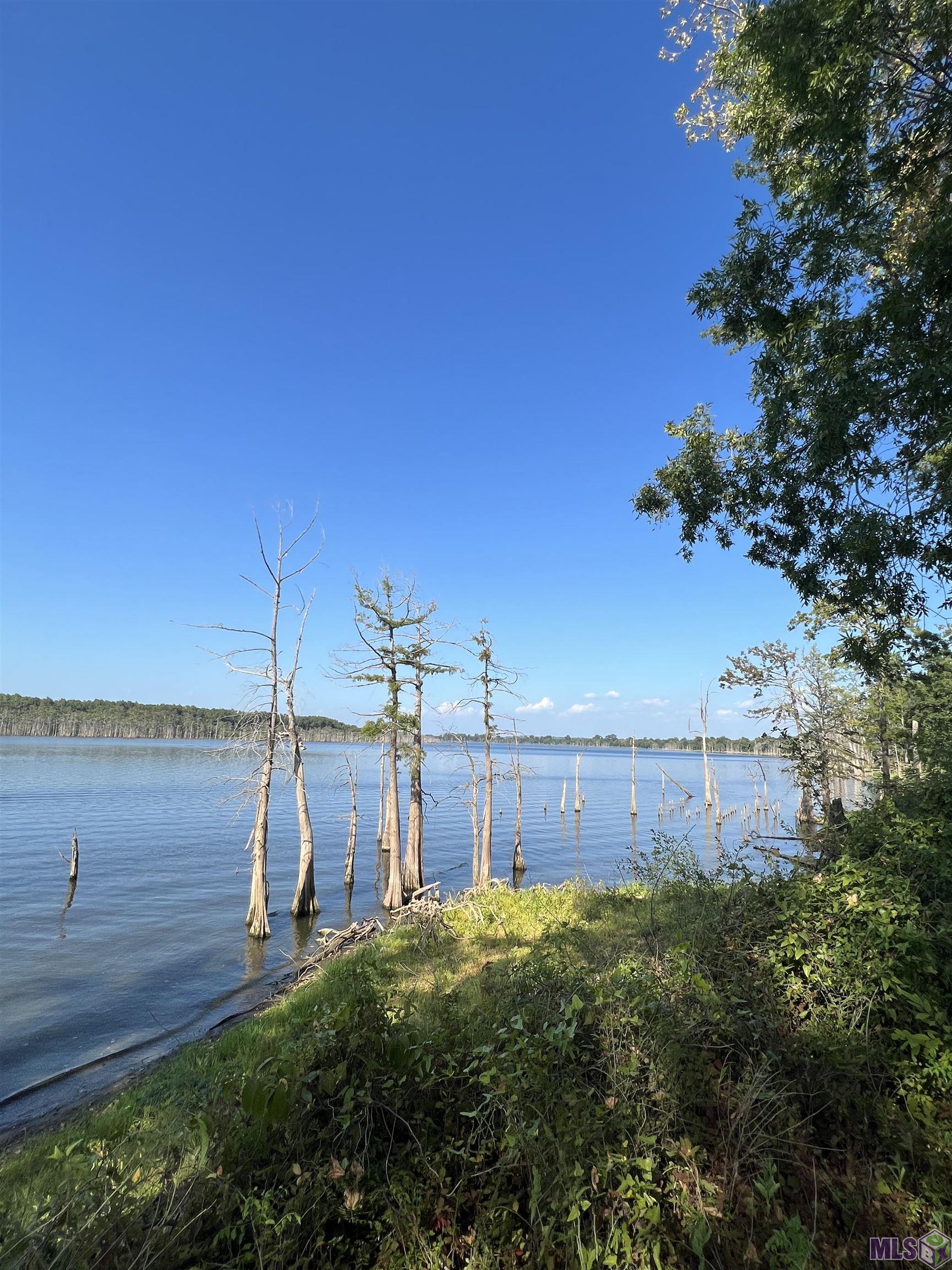 TBD Lakeshore Rd, Woodville, Mississippi image 6