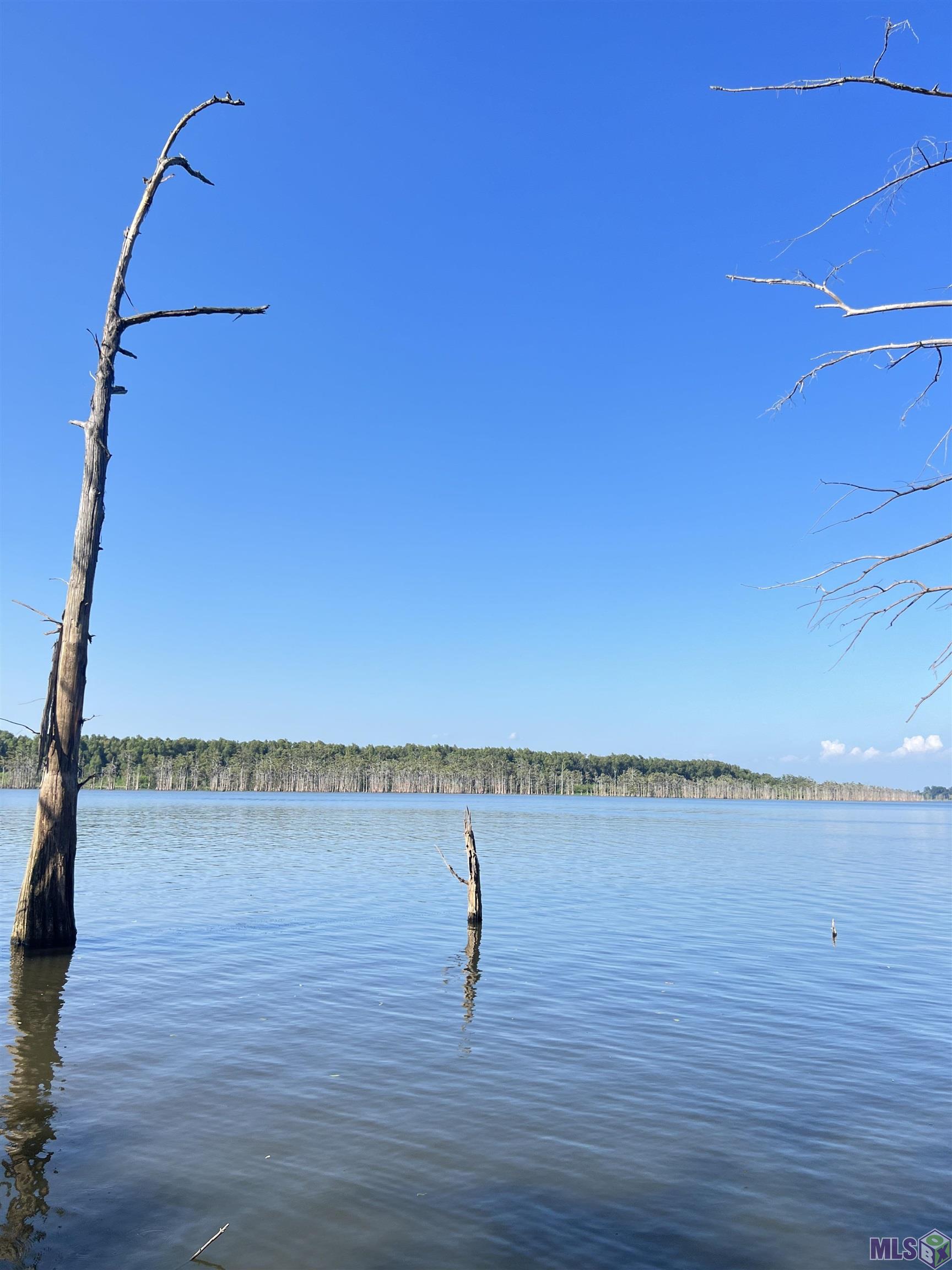 TBD Lakeshore Rd, Woodville, Mississippi image 1