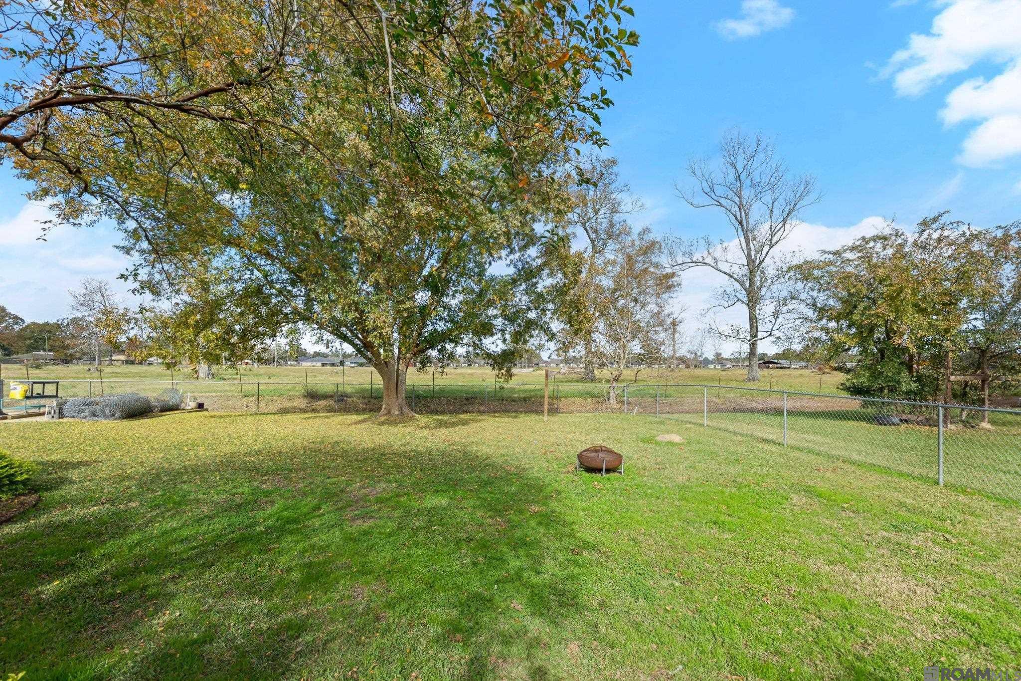 43234 N Henderson Ave, Prairieville, Louisiana image 4