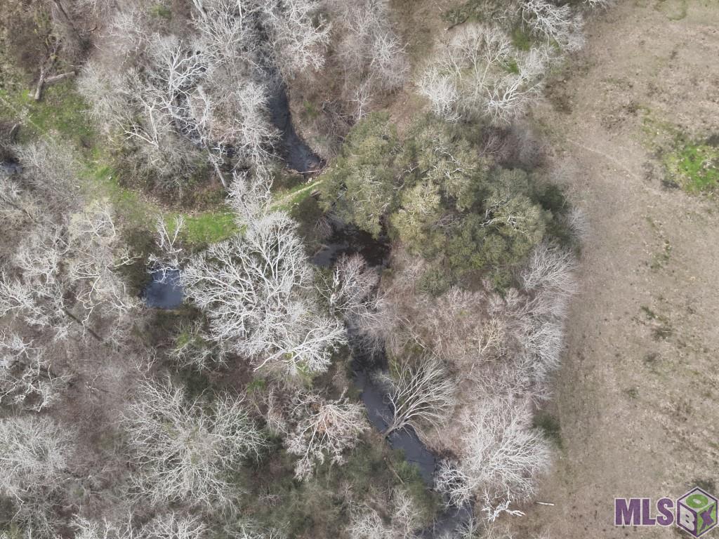 Lot TL-2 Flonacher Rd, Zachary, Louisiana image 18