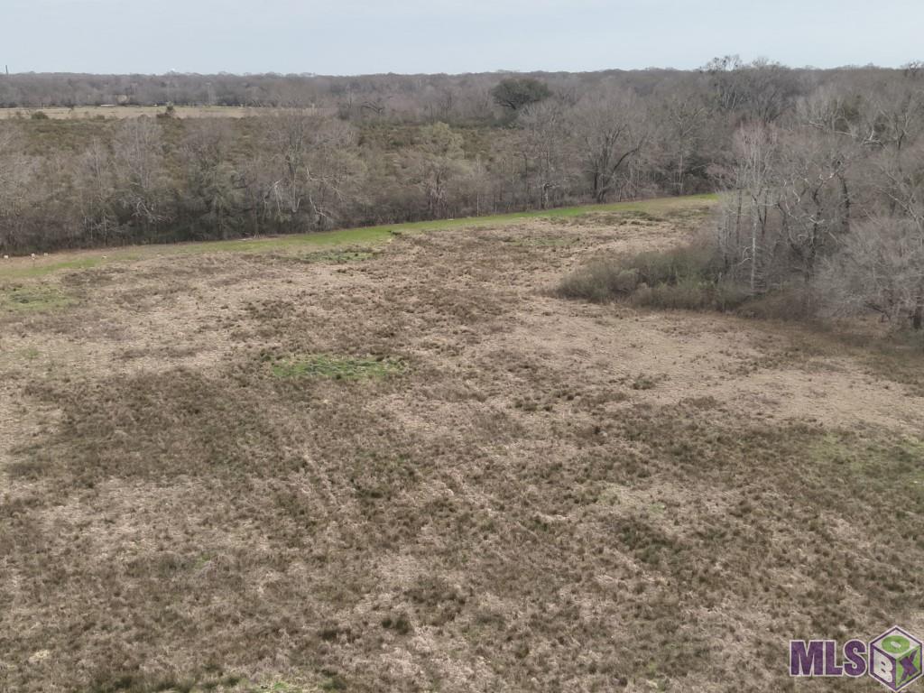 Lot TL-2 Flonacher Rd, Zachary, Louisiana image 16