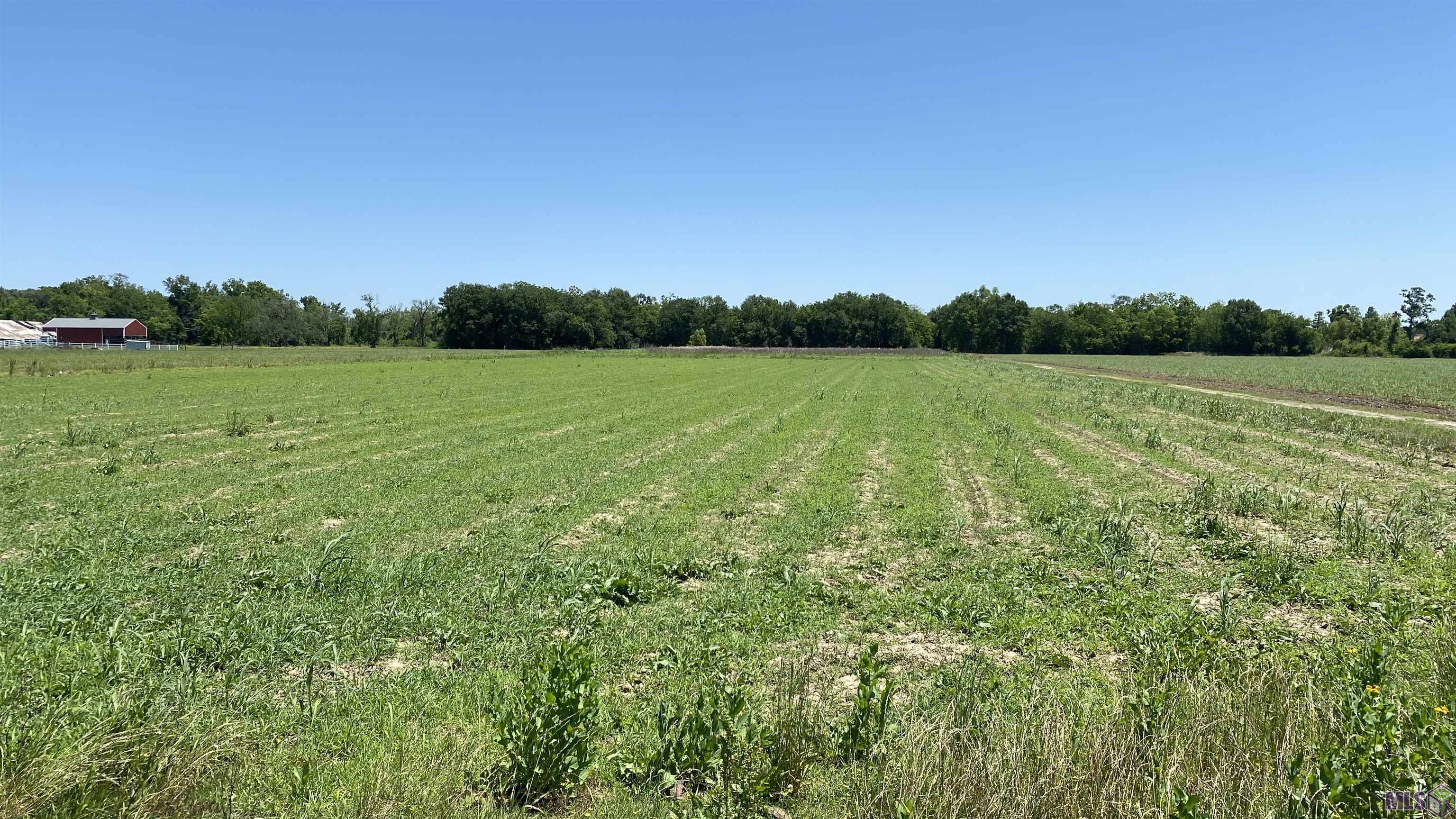 Lot SL-1A & B La Hwy 642 #2, Paulina, Louisiana image 1