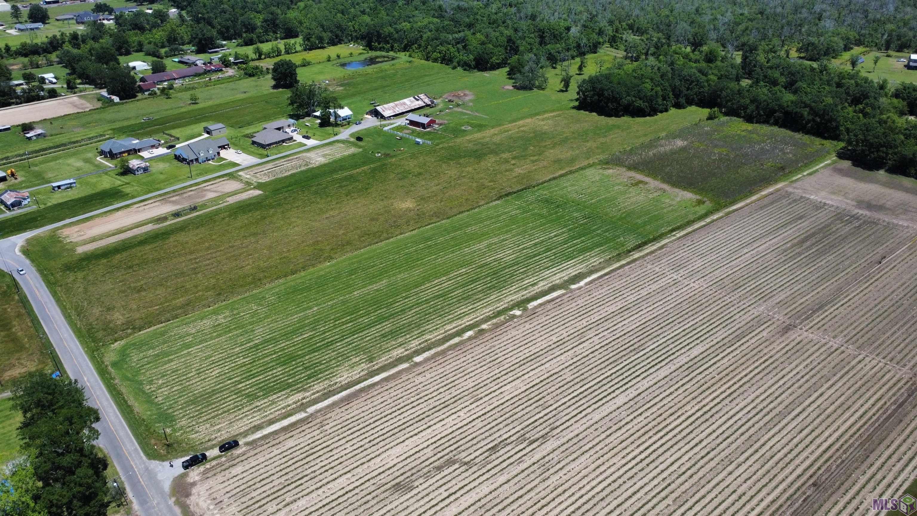 Lot SL-1A & B La Hwy 642 #2, Paulina, Louisiana image 3