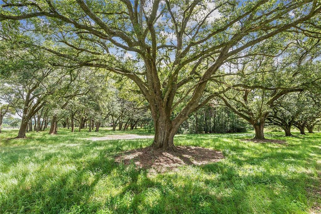 79397 Old Military (highway 1082) Highway, Bush, Louisiana image 38