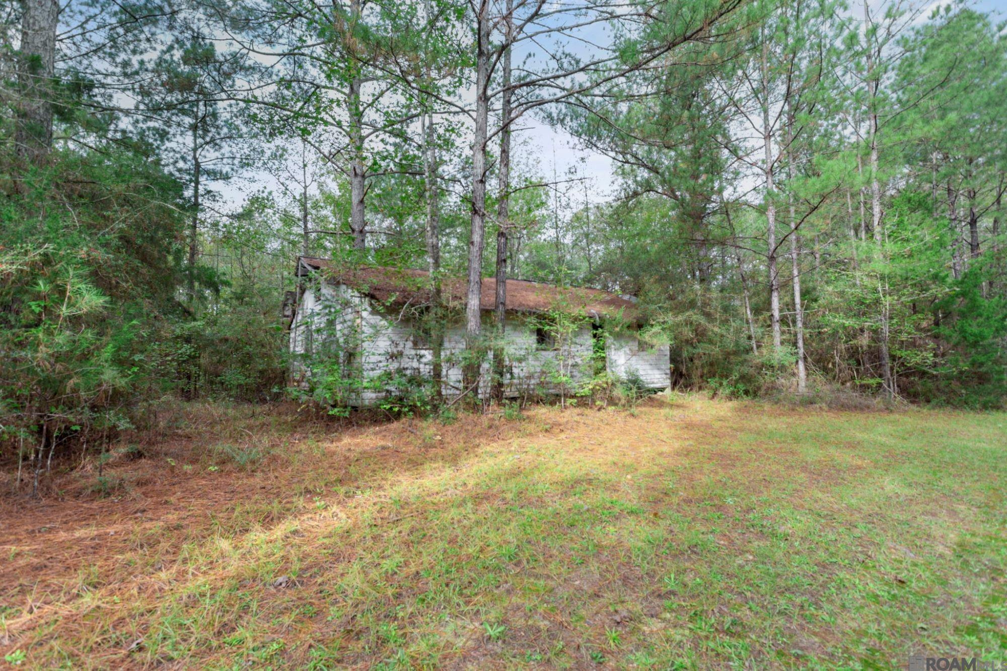 13289 Weaver Rd, Saint Francisville, Louisiana image 4