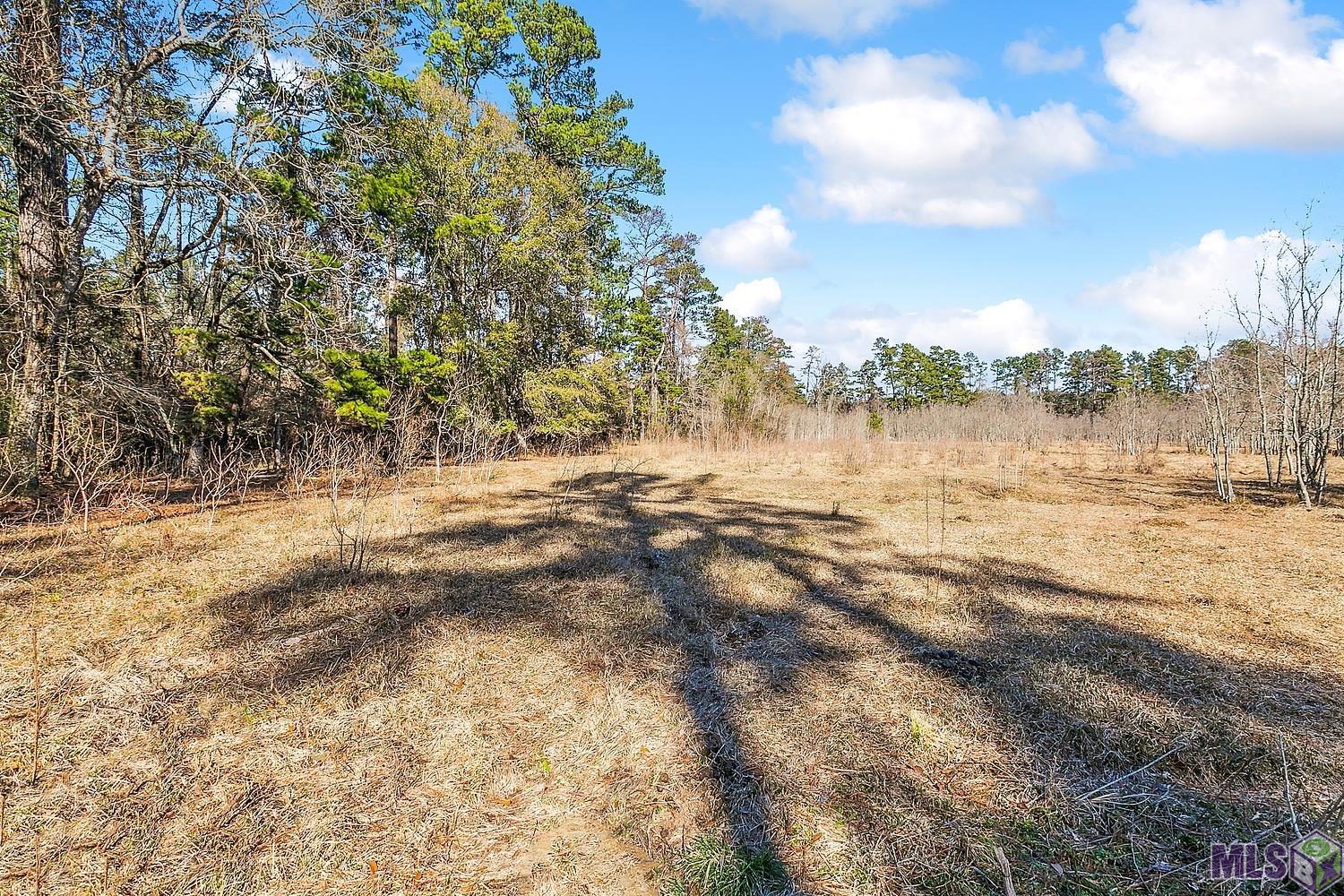 Tract A Leroe Ln, Walker, Louisiana image 17