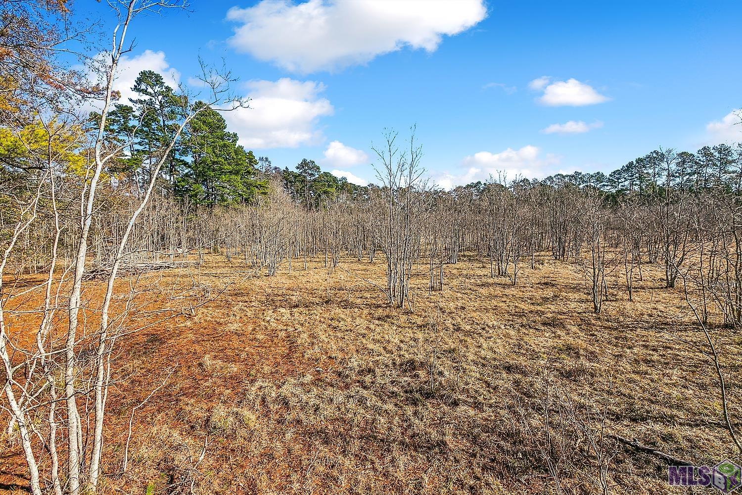 Tract A Leroe Ln, Walker, Louisiana image 7