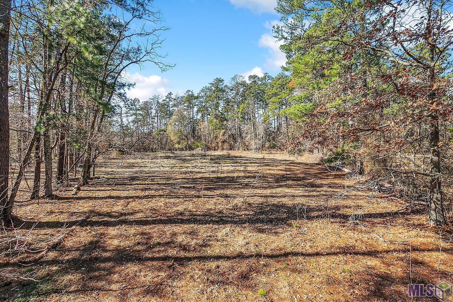 Tract A Leroe Ln, Walker, Louisiana image 13