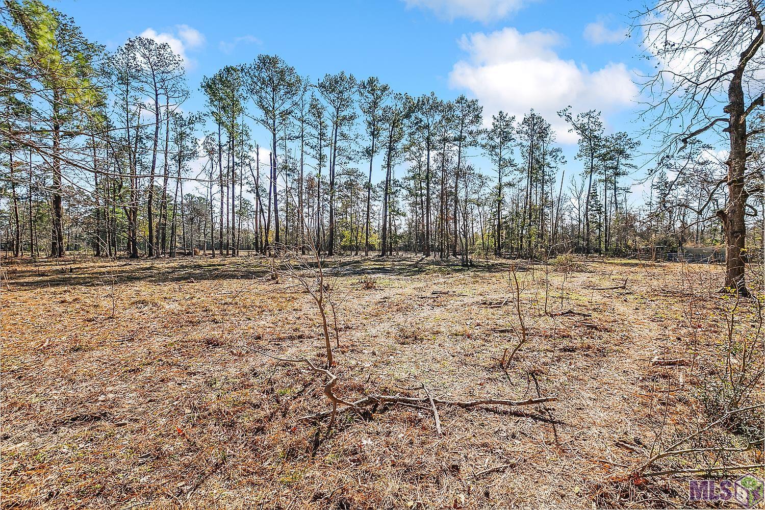 Tract A Leroe Ln, Walker, Louisiana image 8