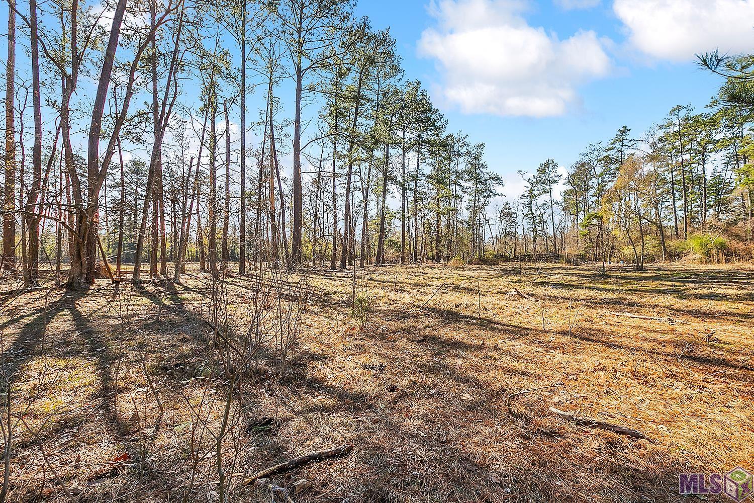 Tract A Leroe Ln, Walker, Louisiana image 12