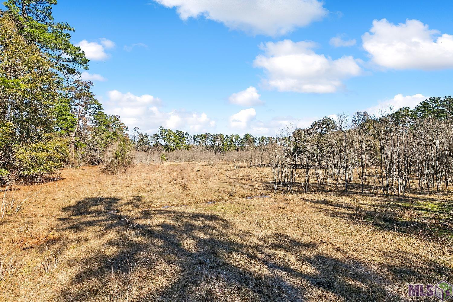 Tract A Leroe Ln, Walker, Louisiana image 4