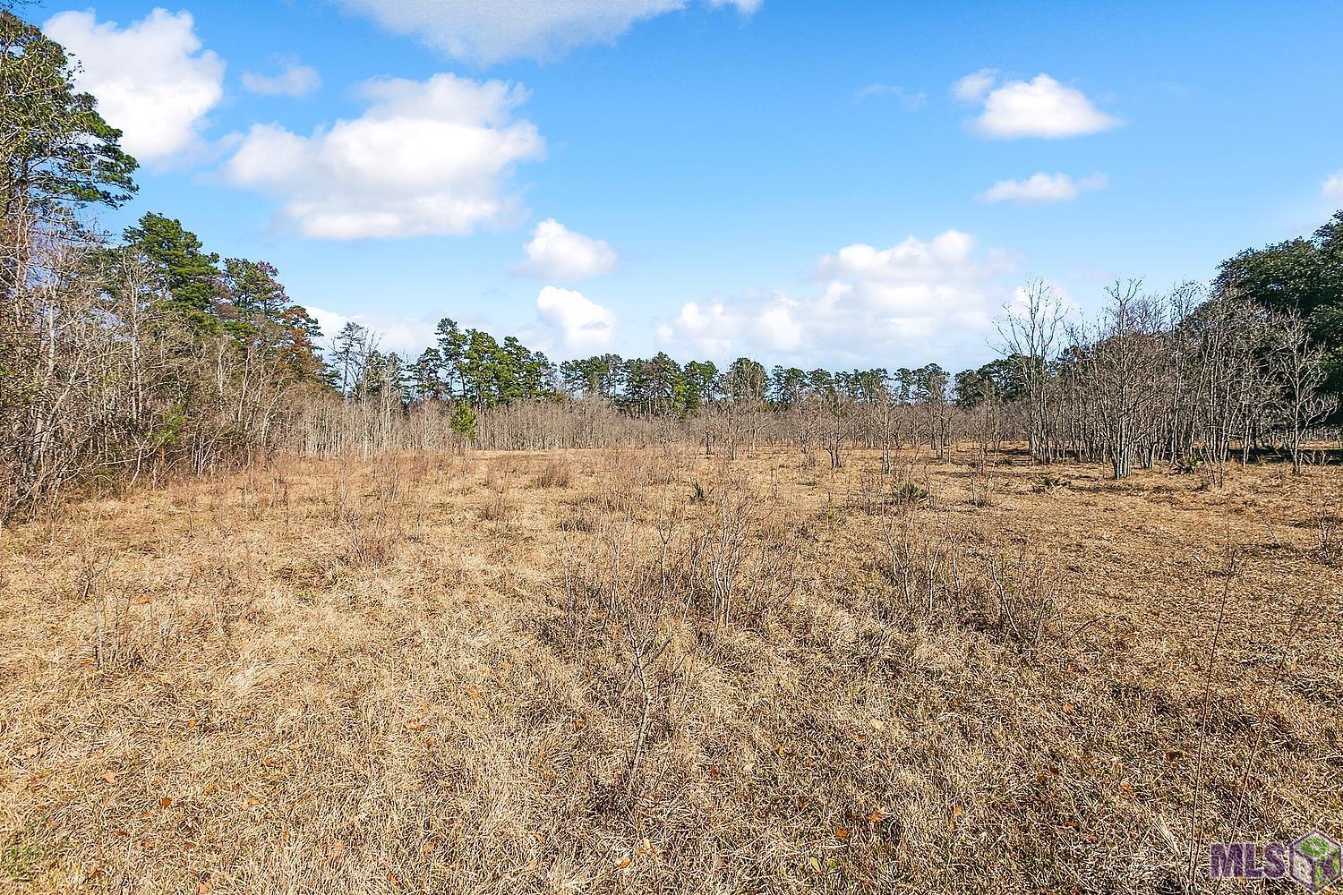 Tract A Leroe Ln, Walker, Louisiana image 2