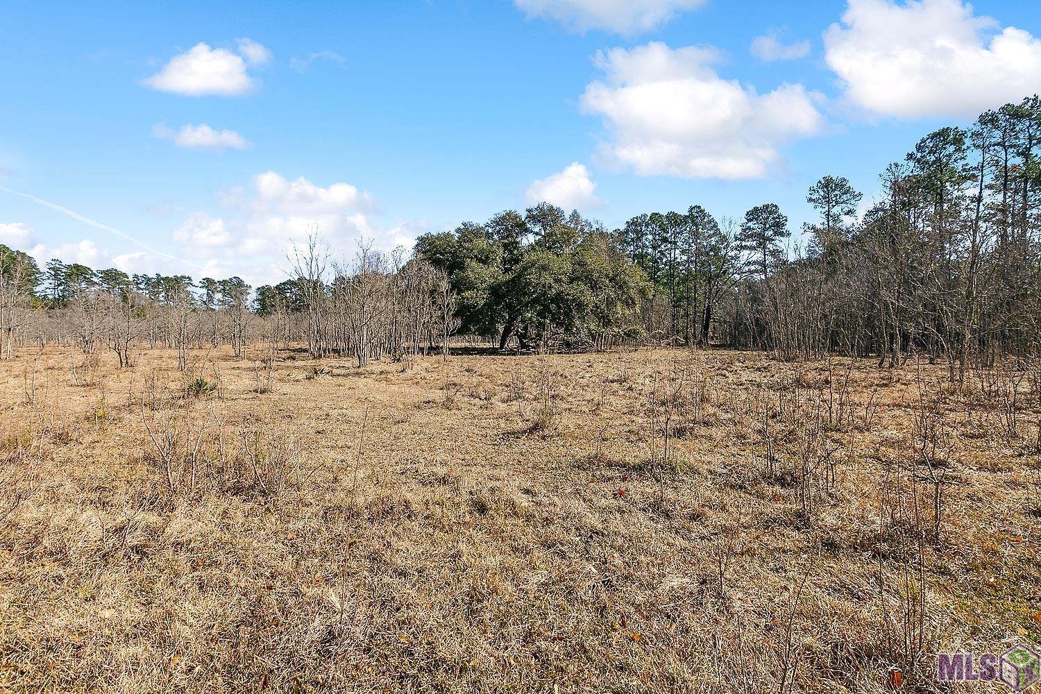 Tract A Leroe Ln, Walker, Louisiana image 1