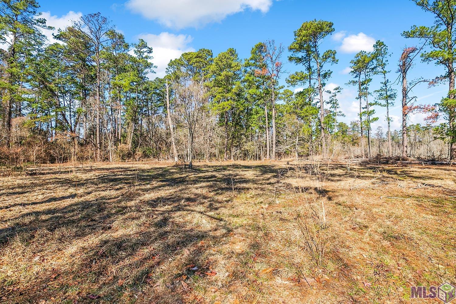 Tract A Leroe Ln, Walker, Louisiana image 11