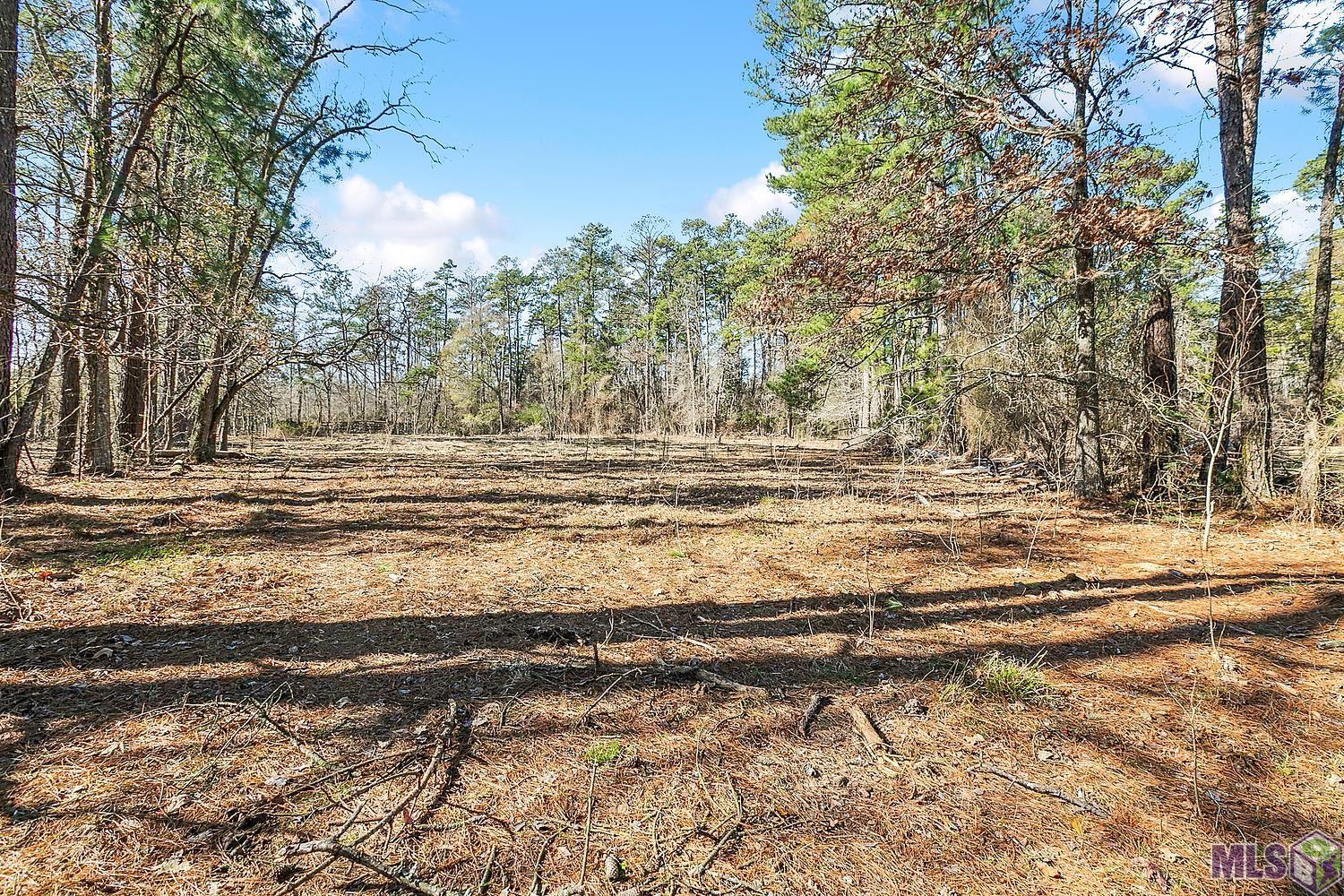 Tract A Leroe Ln, Walker, Louisiana image 9