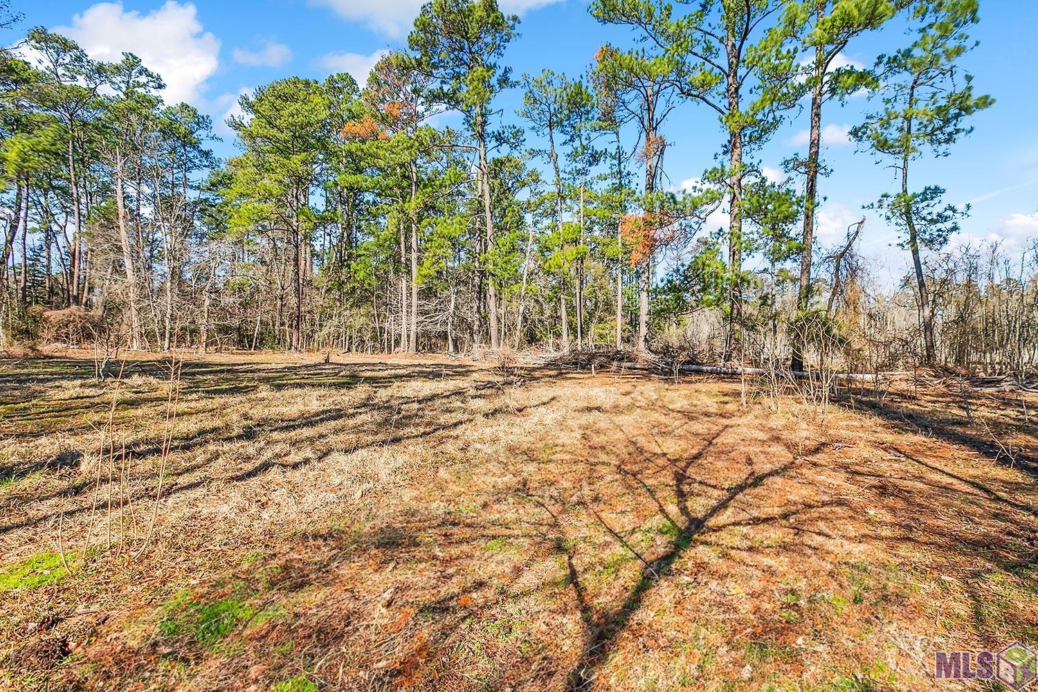 Tract A Leroe Ln, Walker, Louisiana image 10