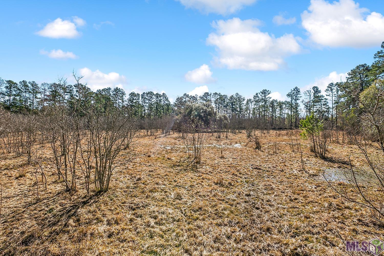 Tract A Leroe Ln, Walker, Louisiana image 6