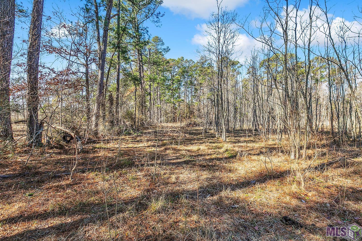 Tract A Leroe Ln, Walker, Louisiana image 16