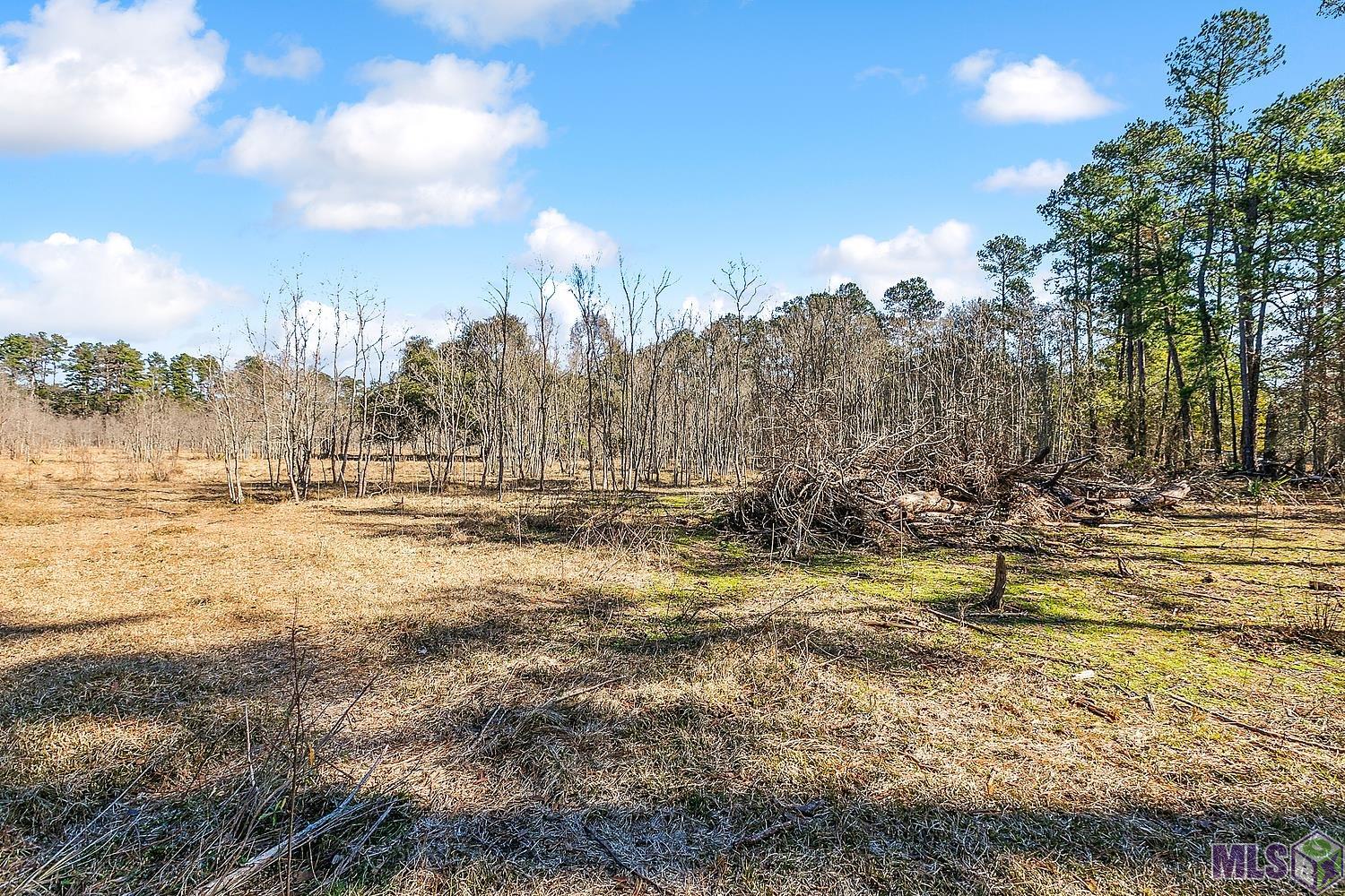 Tract A Leroe Ln, Walker, Louisiana image 5