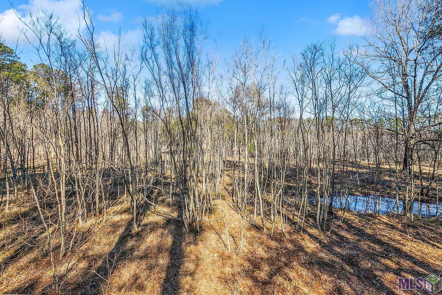 Tract A Leroe Ln, Walker, Louisiana image 14